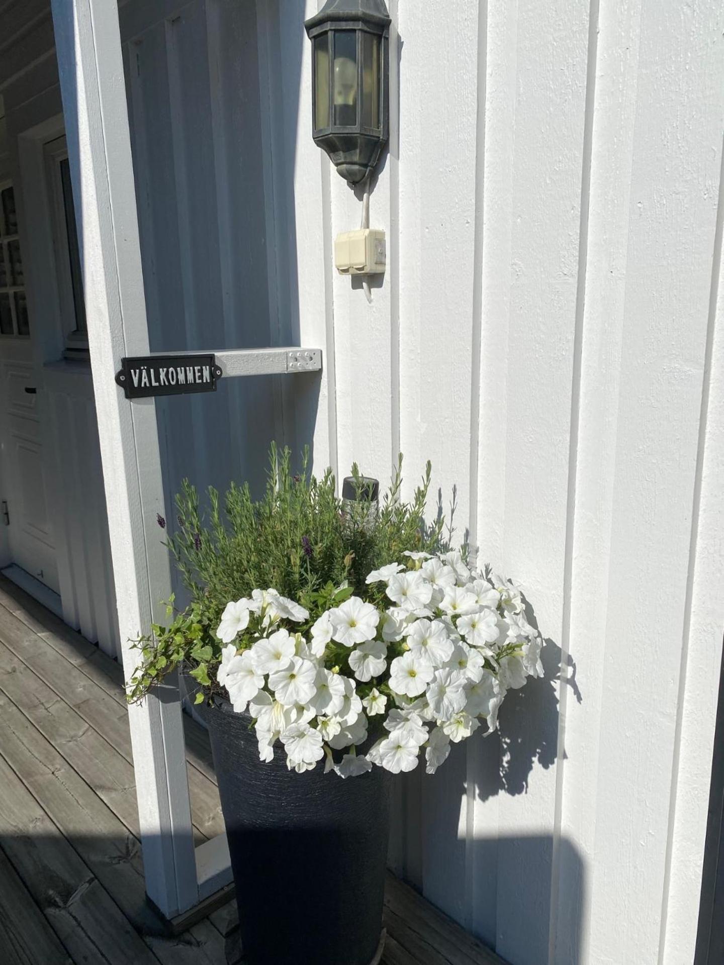Studio 51 Oergryte Gothenburg Ngoại thất bức ảnh